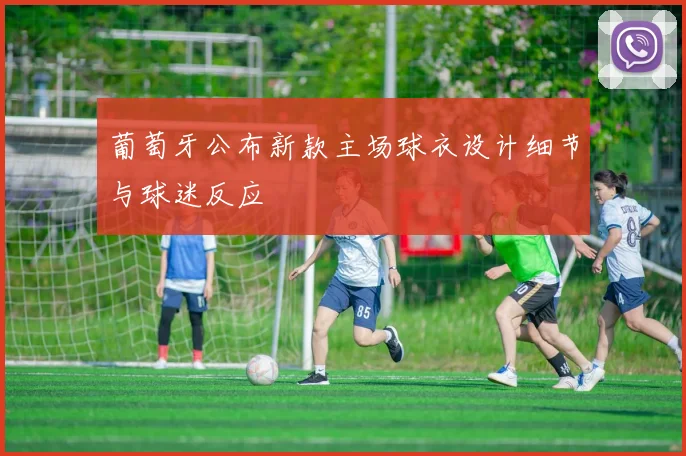 葡萄牙公布新款主场球衣设计细节与球迷反应