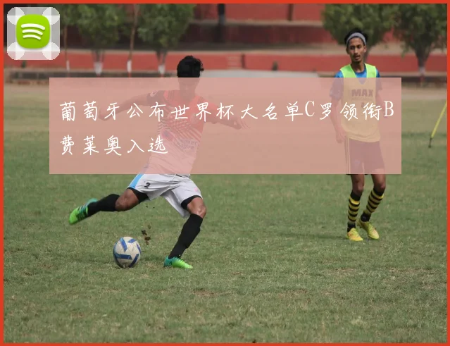 葡萄牙公布世界杯大名单C罗领衔B费莱奥入选