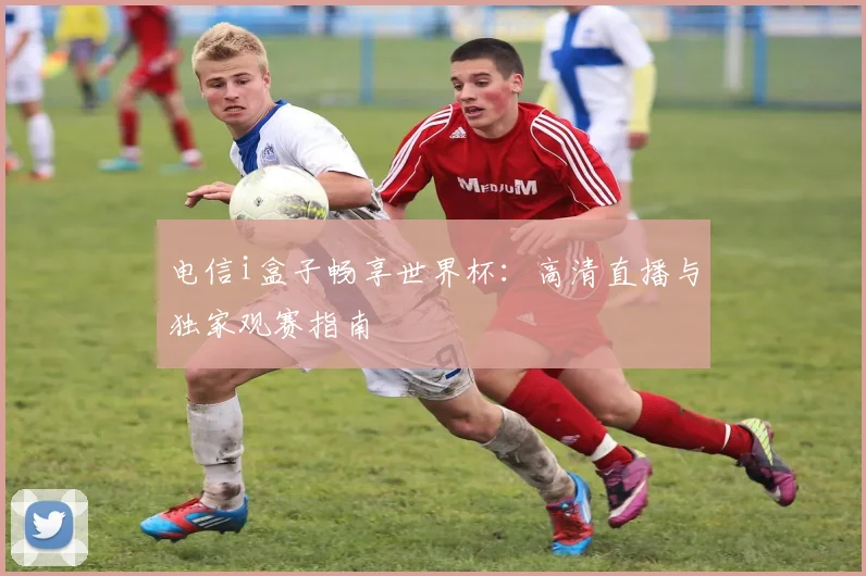 电信i盒子畅享世界杯:高清直播与独家观赛指南