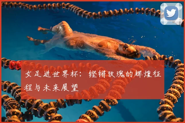 女足进世界杯：铿锵玫瑰的辉煌征程与未来展望