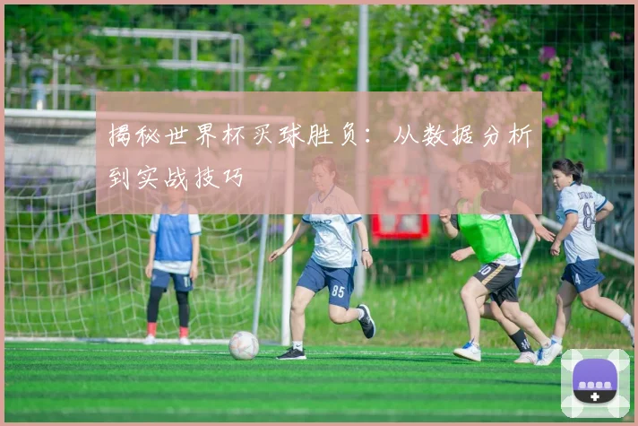 揭秘世界杯买球胜负:从数据分析到实战技巧