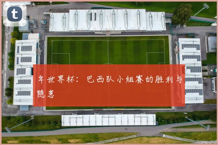 年世界杯:巴西队小组赛的胜利与隐患